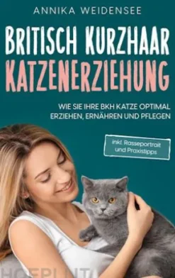 Britisch Kurzhaar Katzenerziehung