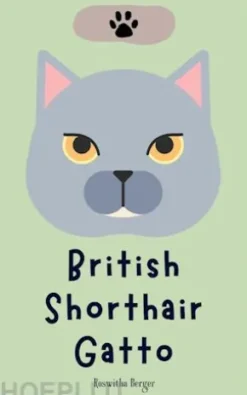 British Shorthair Gatto