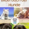 Bubsimaus Bilderbuch der Hunde