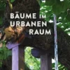 Bäume im urbanen Raum