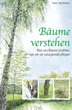 Bäume verstehen