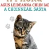 Cait Intíre a Phórú Agus Leideanna Chun iad a Choinneáil Sásta
