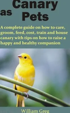 Canary as Pets