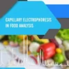 Capillary Electrophoresis in Food Analysis