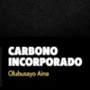Carbono incorporado
