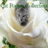 Cat Poems Collection