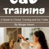 Cat Training