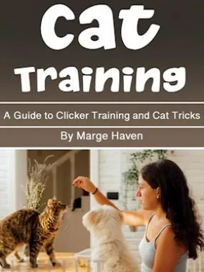 Cat Training