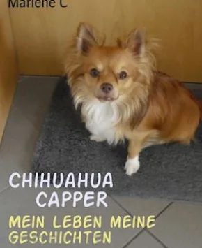 ChihuahuaCAPPER