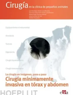 Cirugía mínimamente invasiva en tórax y abdomen