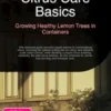 Citrus Care Basics: Growing Healthy Lemon Trees in Containers