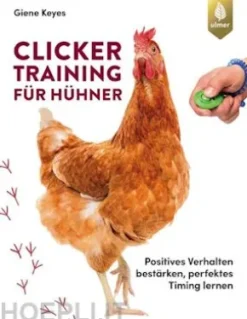 Clickertraining für Hühner