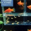 Cómo construir y mantener el acuario