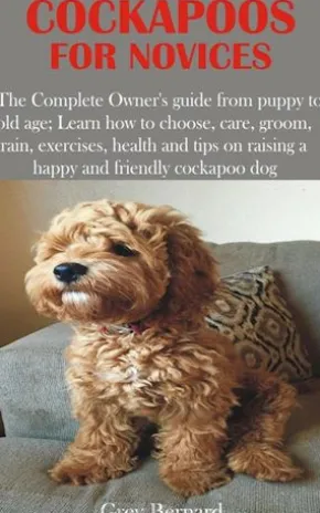 Cockapoos for Novices