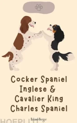 Cocker Spaniel Inglese & Cavalier King Charles Spaniel