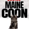 Codice Maine Coon
