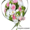 Comment entretenir vos fleurs et plantes :
