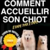 Comment accueillir son chiot étape par étape spécial chien de refuge et chien adulte