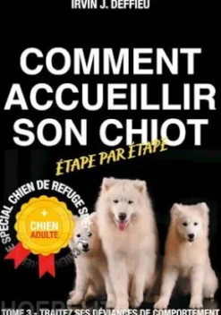 Comment accueillir son chiot étape par étape spécial chien de refuge et chien adulte