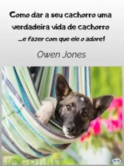 Como Dar A Seu Cachorro Uma Verdadeira Vida De Cachorro