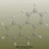 Computational Pharmacology and Precision Medicine: AI-Driven Drug Discovery, Pharmacogenomics, and Personalized Therapeutics