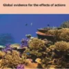 Coral Conservation