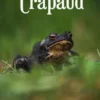 Crapaud