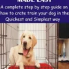 Crate Training Puppies Made Easy