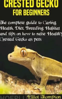 Crested Gecko for Beginners