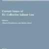 Current Issues of EU Collective Labour Law - e-Book