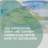 Das aufregende Leben der grünen Meeresschildkröte Katie im Südatlantik