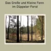 Das Große und Kleine Fenn im Düppeler Forst
