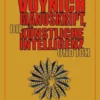 Das Voynich-Manuskript, die Künstliche Intelligenz und ich