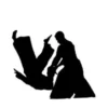 De Essentie van Aikido