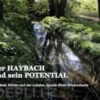 Der HAYBACH und sein POTENTIAL