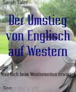 Der Umstieg von Englisch auf Western