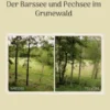 Der Barssee und Pechsee im Grunewald