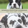 Der Hunderassen-Führer für Therapie- und Assistenzhunde