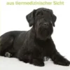 Der Riesenschnauzer aus tiermedizinischer Sicht