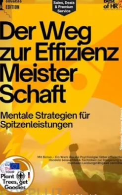 Der Weg zur Effizienz–Meisterschaft – Mentale Strategien für Spitzenleistungen