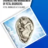 Diagnosis and Management of Fetal Disorders