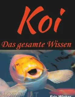 Die Koiwelt