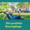 Die perfekte Rasenpflege