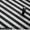 Digitale Schwarz-Weiß-Fotografie