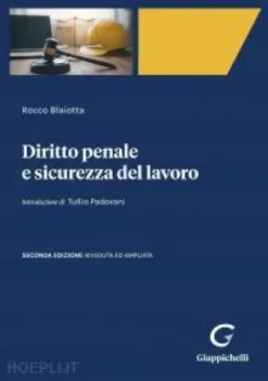 Diritto penale e sicurezza del lavoro - e-Book