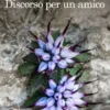 Discorso per un amico