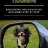 Dog Training
