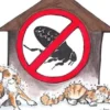 Dog fleas
