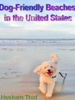 Dog-Friendly Beaches in the United States
