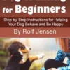 Dog Training for Beginners